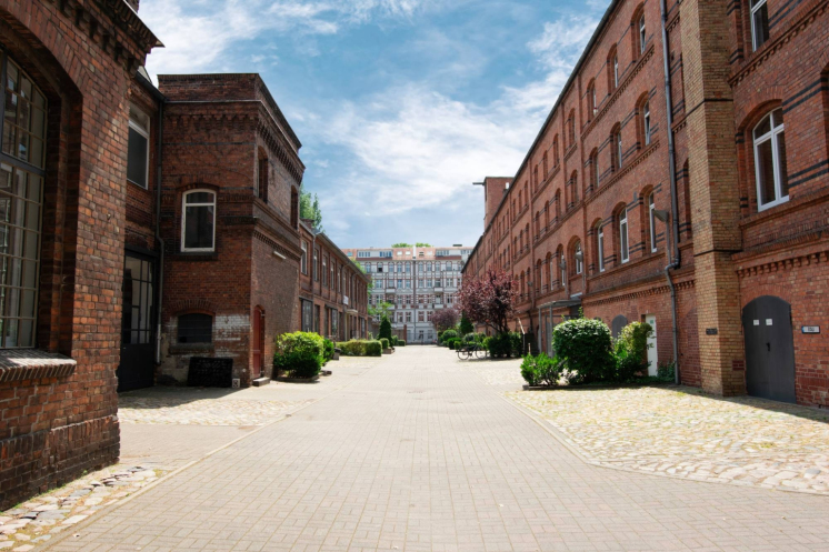 Main_2 (1)